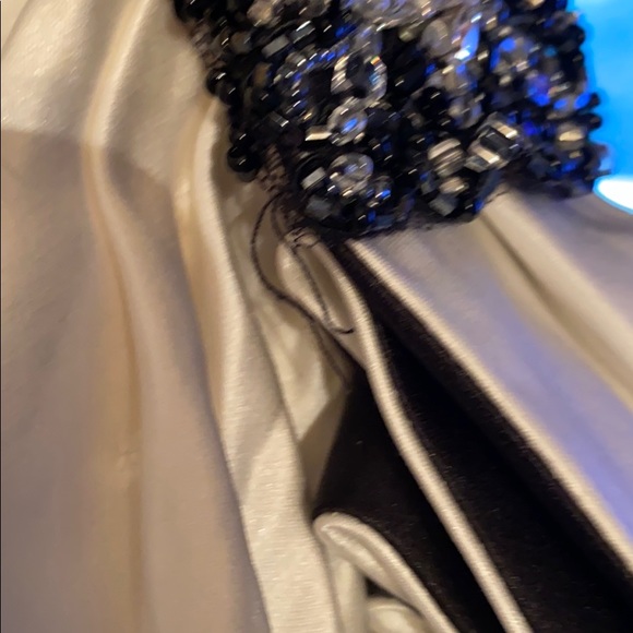 Justin Alexander Wedding Dress #8509 - Picture 12 of 14